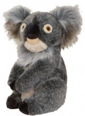 Daphnee Koala
